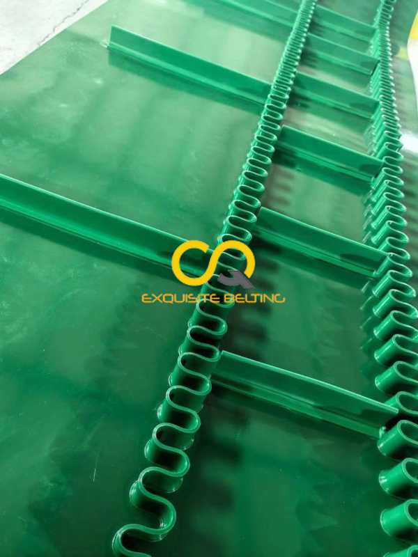 PVC Conveyor White Green.jpg