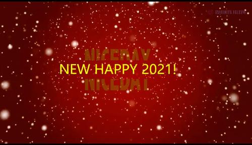 2021 new year.jpg