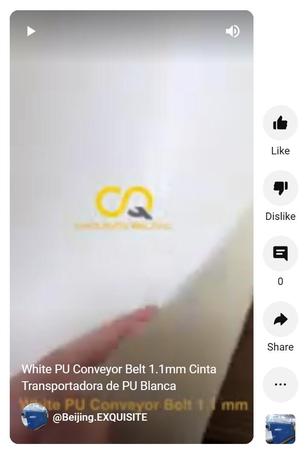 23.2.1 youtub White PU Conveyor Belt 1.1 mm.jpg