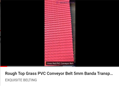 Grass Red PVC Conveyor Belt Youtube.jpg