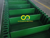 Green PVC Conveyor Belt With Skirted Baffle