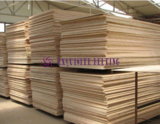 Timber Machinery Conveyor Belt