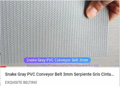 Snake Gray PVC Conveyor Belt 3mm Youtube.png