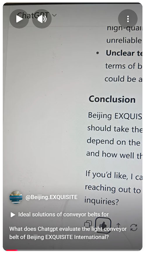 What does Chatgpt evaluate the light conveyor belt of Beijing EXQUISITE International.jpeg