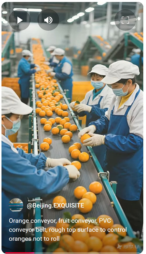 Orange conveyor, fruit conveyor, PVC conveyor belt.jpeg