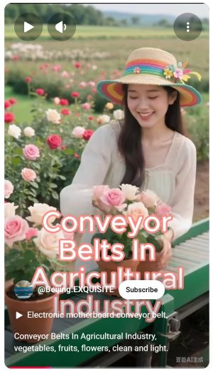 Conveyor Belts In Agricultural Industry, vegetables, fruits, flowers, clean and light..jpg