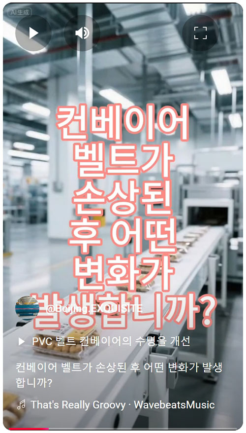 컨베이어 벨트가 손상된 후 어떤 변화가 발생합니까.jpeg