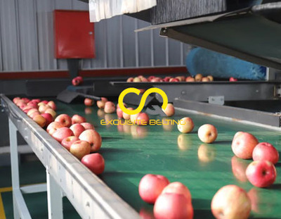 Apple conveyor belt, fruit conveyor belt