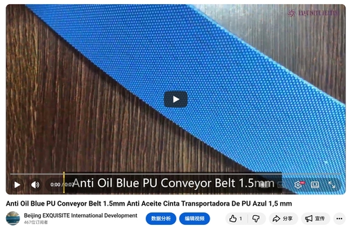 Youtube Blue PU Conveyor Belt 1.5mm.jpeg