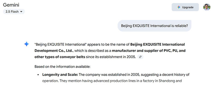 Google AI Gemini and conveyor belts of Beijing EXQUISITE International..jpeg