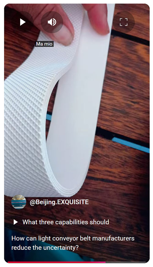 How can light duty conveyor belt manufacturers reduce the uncertainty.jpeg