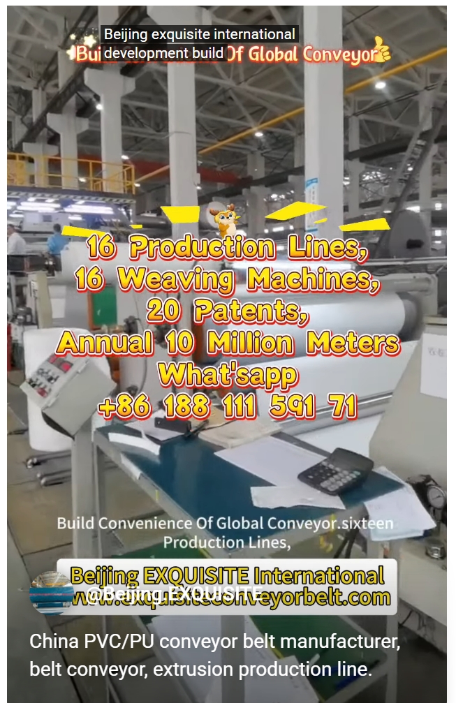 China PVCPU conveyor belt manufacturer, belt conveyor, extrusion production line..jpeg