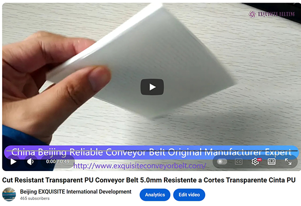 Transparent PU Conveyor Belt 5mm.jpeg