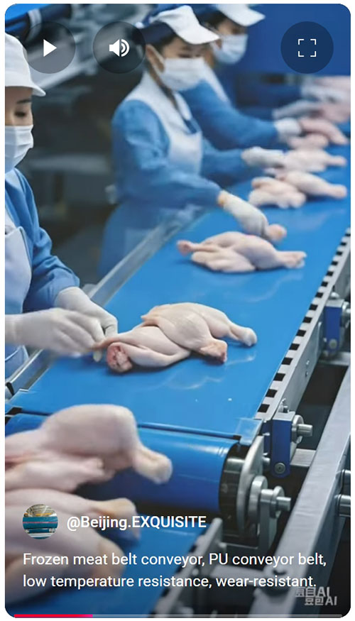 frozen meat belt conveyor, PU conveyor belt, wear-resistant, cut-resistant.jpeg