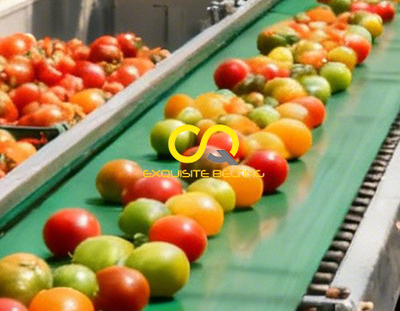 Agricultural Belt Conveyor, Fruit and Vegetable Sorting Line, PVC Conveyor Belt.