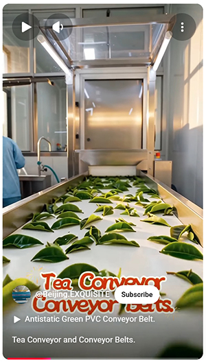 Tea Conveyor and Conveyor Belts..jpeg