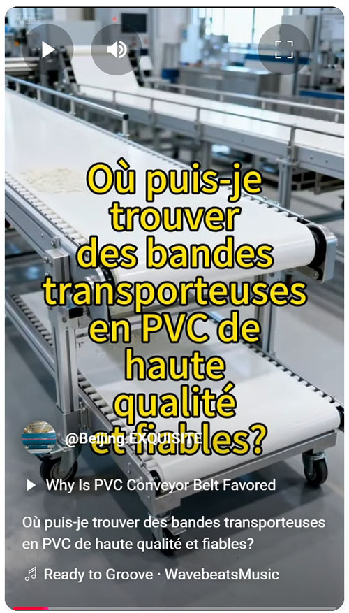 Où puis-je trouver des bandes transporteuses en PVC de haute qualité et fiables.jpeg