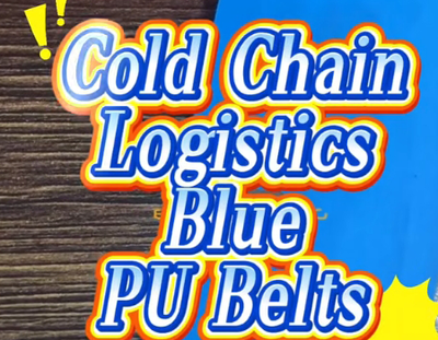 Blue PU Conveyor Belts for Cold Chain Logistics