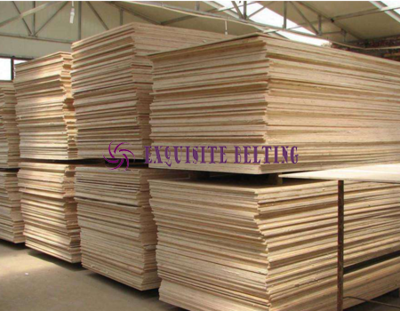 Timber Machinery Conveyor Belt