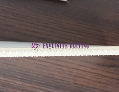 Shore 90 Transparent PU Conveyor Belt 2.6mm