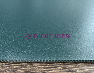 Antistatic Green PU Conveyor Belt 1.6mm